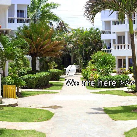 Condo Cabrinha - Direct On Kite Beach Cabarete Værelse billede
