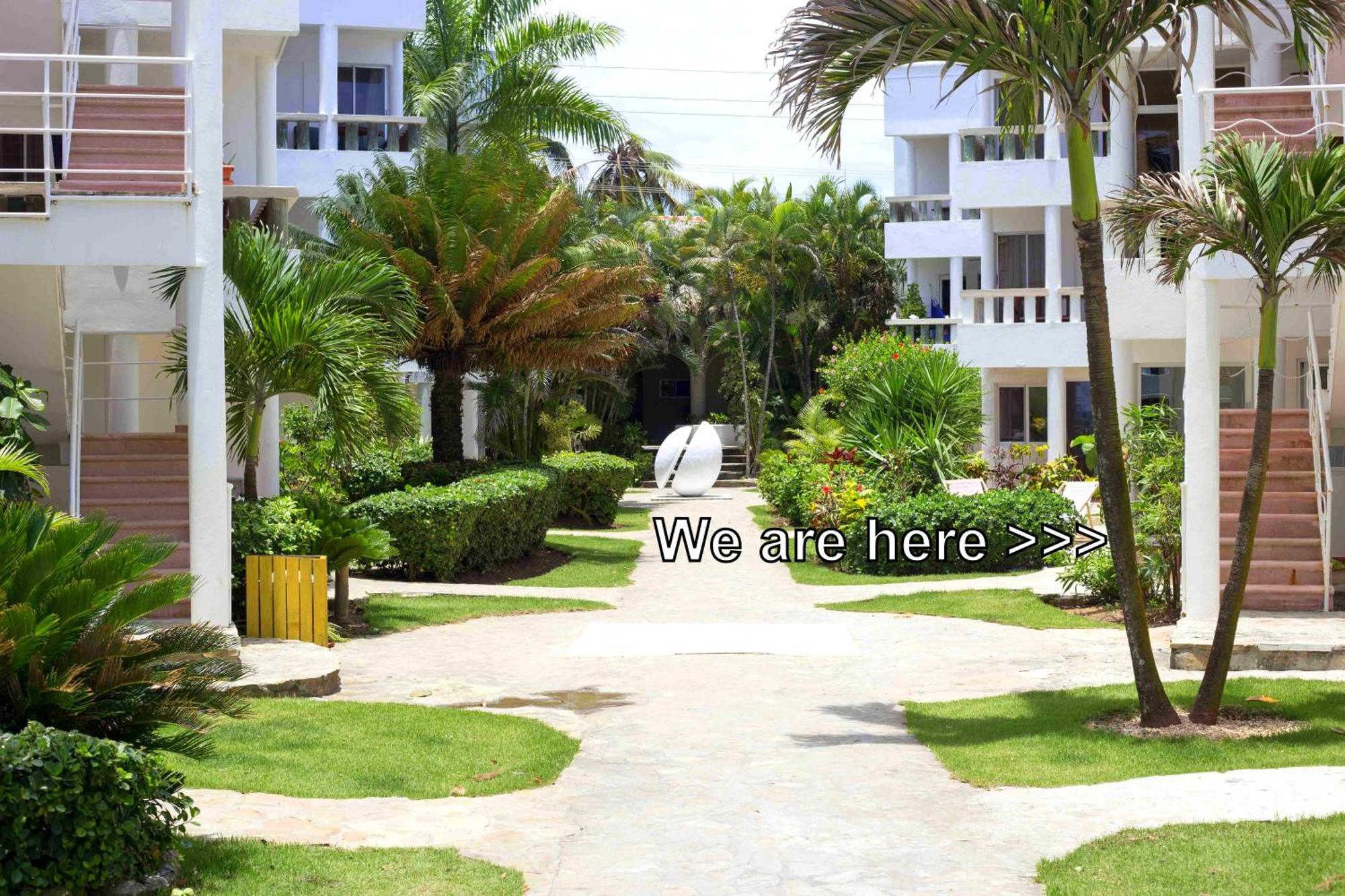 Condo Cabrinha - Direct On Kite Beach Cabarete Værelse billede