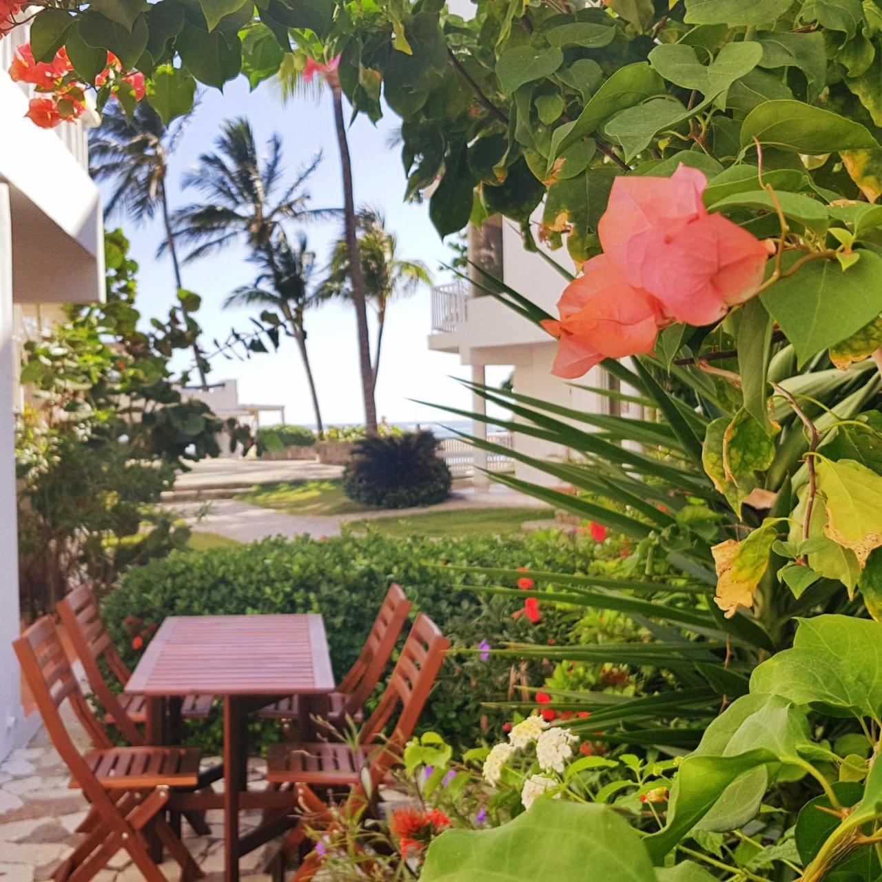 Condo Cabrinha - Direct On Kite Beach Cabarete Eksteriør billede
